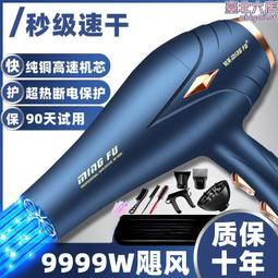 電吹風機髮廊專用家用大功率理髮店負離子恆溫吹風筒 歷史價格詳細信息