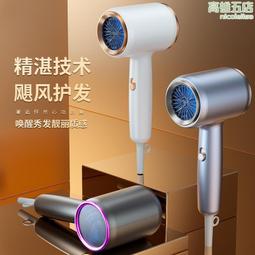 電吹風機家用大功率髮廊專用理髮店負離子護髮速幹風筒廠直發 歷史價格詳細信息