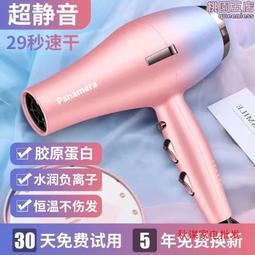 大風力電吹風機髮廊大功率藍光護髮負離子家用速幹理髮店專用高速 歷史價格詳細信息