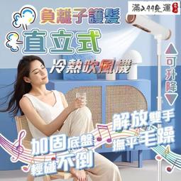 直立式吹風機 立式吹風機 懶人吹風機 冷暖出風 負離子吹風機 110V 通過臺灣安規 CP值超高 歷史價格詳細信息
