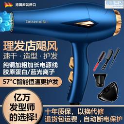 大功率吹風機家用理髲店大風力護髮速乾冷熱風學生宿舍用電吹風機 歷史價格詳細信息