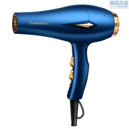 大功率吹風機家用理髲店大風力護髮速乾冷熱風學生宿舍用電吹風機 歷史價格詳細信息