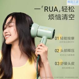 素士CAS吹風機家用大功率大風力負離子護髮吹風機H5梵谷綠. 歷史價格詳細信息