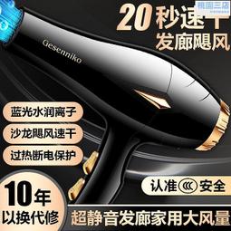 大功率吹風機家用理髲店大風力護髮速乾冷熱風學生宿舍用電吹風機 歷史價格詳細信息