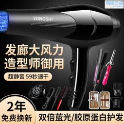 髮廊吹風機家用大功率理髲店負離子護髮冷熱風吹風機筒速乾宿舍用 歷史價格詳細信息