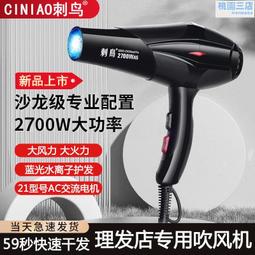 電吹風機家用大功率專用髮廊負離子速幹護髮靜音無聲捲髮吹風筒 歷史價格詳細信息