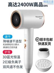 德國發廊吹風機家用負離子護髮大功率風力理髲店速乾學生宿舍 歷史價格詳細信息
