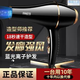 德國吹風機負離子護髮家用高速吹風機大風力速乾華強北新款P2971 歷史價格詳細信息