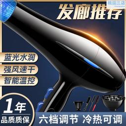電吹風機家用負離子不傷發高速風筒髮廊大功率冷熱藍光電吹風 歷史價格詳細信息