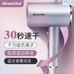 吹風機家用大風力負離子護髮速幹理髮店髮廊宿舍學生電吹風筒 歷史價格詳細信息