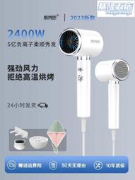 徠芬理髲店專用護髮吹風機家用大風力大功率護髮速乾靜音吹風機 歷史價格詳細信息