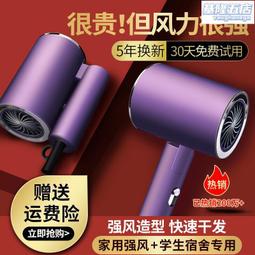 徠芬德國智能光圈高速吹風機家用大風力3800W不傷發恆溫負離子護 歷史價格詳細信息