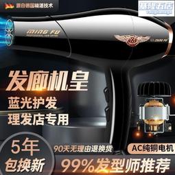 電吹風機強力大功率速幹理髮店大風力不傷發超靜音家用吹頭髮風筒 歷史價格詳細信息