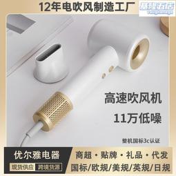 11萬轉高速電吹風機家用負離子髮廊大功率大吹力恆溫無葉風筒 歷史價格詳細信息