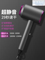德國吹風機宿舍用學生家用負離子護髮大風力靜音吹風機高速華強北 歷史價格詳細信息