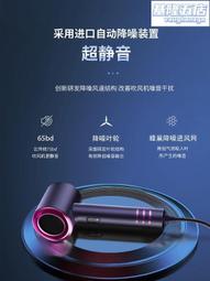 英系吹風機家用大功率負離子護髮學生宿舍用電吹風理髲店吹風機 歷史價格詳細信息