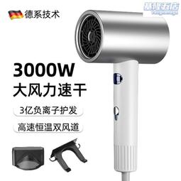 徠芬髮廊吹風機家用理髲店專用大功率速乾電吹風機負離子護髮靜音 歷史價格詳細信息