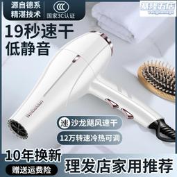 徠芬吹風機機發廊專用大功率理髲店家用大風負離子髮型師護髮速乾 歷史價格詳細信息