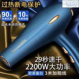 徠芬官品高速吹風機家用負離子護髮大功率理髲店專用大 歷史價格詳細信息