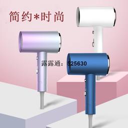 吹風機 負離子 110V 電吹風 美規吹風機 護髮傢用 日規電吹風筒電吹風 吹風筒 歷史價格詳細信息