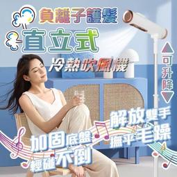 立式吹風機解放雙手負離子家用大功率懶人吹風筒速乾落地電吹風  露天市集  全台最大的網路購物市集 歷史價格詳細信息