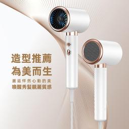 吹風機 大風量吹風機 專業吹風機 沙龍級吹風機 負離子吹風機 髮廊電吹風筒 歷史價格詳細信息