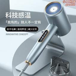吹風機家用護髮大功率負離子用理髮店風筒學生宿舍電吹風 歷史價格詳細信息