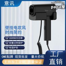 酒店賓館客房家用浴室壁掛式美發專用吹風機電吹風吹風筒 歷史價格詳細信息
