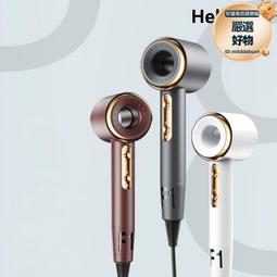 電吹風高速負離子吹風機H501家用護發電吹風筒大功率風力速干小颶風 歷史價格詳細信息