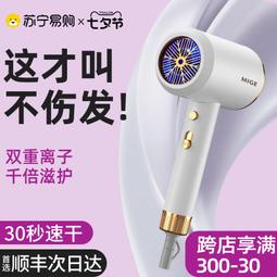 電吹風機 家用吹風機 恆溫吹風機 負離子吹風機 便攜吹風筒 小巧吹風機 智能吹風機 過熱保護吹風機 110V吹風機 歷史價格詳細信息