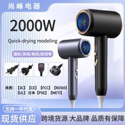 吹風機髮廊電風吹家用大功率吹風筒1800-2200w 歷史價格詳細信息