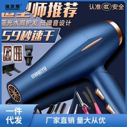 藍光髮廊大風力電吹風機家用理髮店速乾冷熱風學生宿舍用小功率靜 歷史價格詳細信息
