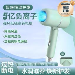 吹風機家用負離子護髮大風力理髲店專用小靜音速乾米高速吹風機 歷史價格詳細信息