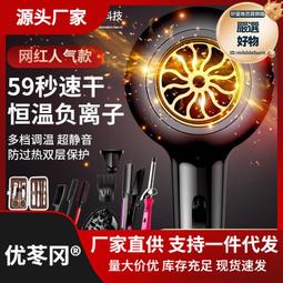 吹風機家用髮廊大功率理髮店藍光負離子電吹風筒冷熱風發 歷史價格詳細信息