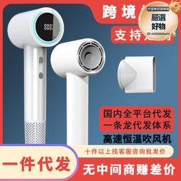 高速吹風機家用華強北負離子髮廊宿舍大風力無刷電吹風/歐規-220v 歷史價格詳細信息