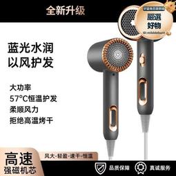 髮廊吹風機大功率電吹風藍光負離子護髮吹風筒 歷史價格詳細信息