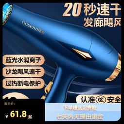 康夫吹風機發廊大風力大功率家用恆溫護髮髮型師專用吹風機KF8894 歷史價格詳細信息