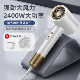 理髮店大功率吹風機99000強風家用髮廊專用電吹風冷熱風藍光護髮 歷史價格詳細信息