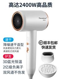 德國發廊吹風機家用負離子護髮大功率風力理髲店速乾學生宿舍 歷史價格詳細信息