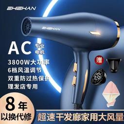 吹風機家用理髲店冷熱風大風力吹風機髮廊速乾負離子靜音大功率 歷史價格詳細信息