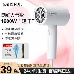 飛科吹風機家用恆溫負離子護髮速乾電吹風宿舍用學生旗艦692 歷史價格詳細信息