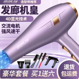 德系高速吹風機負離子護髮靜音速幹不傷發吹風筒家用大風力電吹風 歷史價格詳細信息