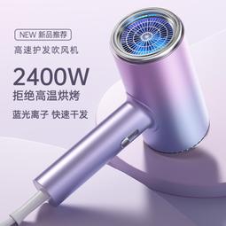 2024新款高速吹風機110V電吹風機家用負離子護發電吹風筒美規英規 歷史價格詳細信息