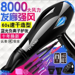 【好康】吹風機家用髮廊理髲店學生宿舍大功率吹風機負離子護髮靜音 歷史價格詳細信息