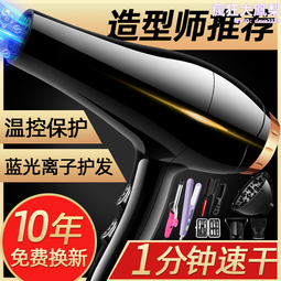 德系吹風機家用藍光負離子髮廊專用護髮超大風力冷熱風靜音吹風機 歷史價格詳細信息
