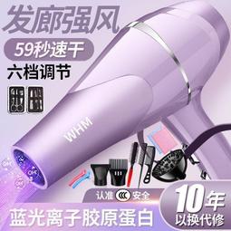 11萬轉高速電吹風機家用負離子髮廊大功率大吹力恆溫無葉風筒 歷史價格詳細信息