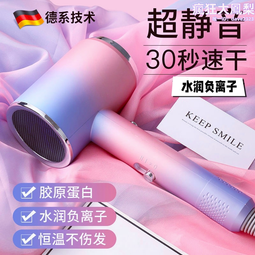 德國吹風機宿舍用學生家用負離子護髮大風力靜音吹風機高速華強北 歷史價格詳細信息