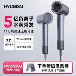 高速吹風機家用負離子護髮速幹高速電吹風機情人節禮物 歷史價格詳細信息