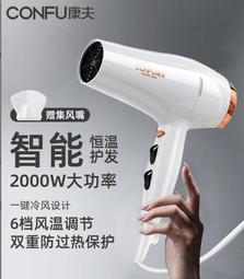 家用大風力吹風機宿舍冷熱藍光恆溫吹風筒髮廊大功率電吹風 歷史價格詳細信息