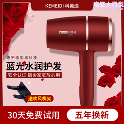 德國速乾0髮廊吹風機家用大風力靜音吹風機理髲店5000冷熱風W 歷史價格詳細信息